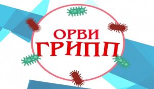 Филиал ФБУЗ «Центр гигиены и эпидемиологии в РБ» в городах Бирск, Нефтекамск, Дуванском районе проводит «горячую линию» по тематическому консультированию граждан по вопросам профилактики гриппа и ОРВИ для населения с 21.09.2026 по 02.10.2026 по телефону (34783) 4-43-15. Филиал ФБУЗ «Центр гигиены и эпидемиологии в РБ» в городах Бирск, Нефтекамск, Дуванском районе проводит «горячую линию» по тематическому консультированию граждан по вопросам профилактики гриппа и ОРВИ для населения с 21.09.2026 по 02.10.2026 по телефону (34783) 4-43-15.
